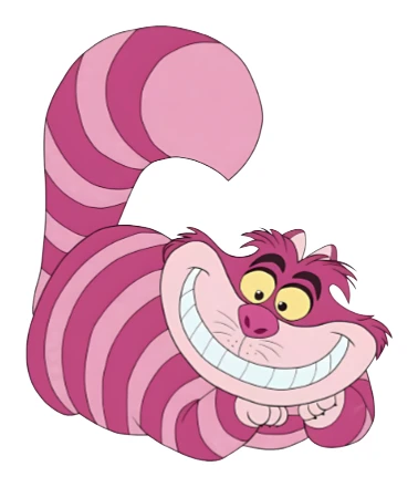 gato-2